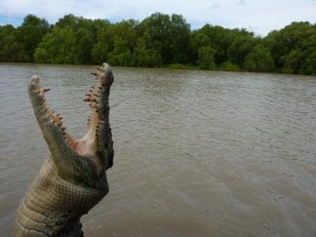 jumping crocodile 2