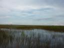 Everglades, Florida