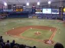 Here come the Rays!