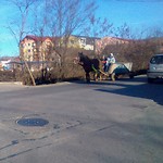 Paard en wagen