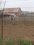 Boerderij