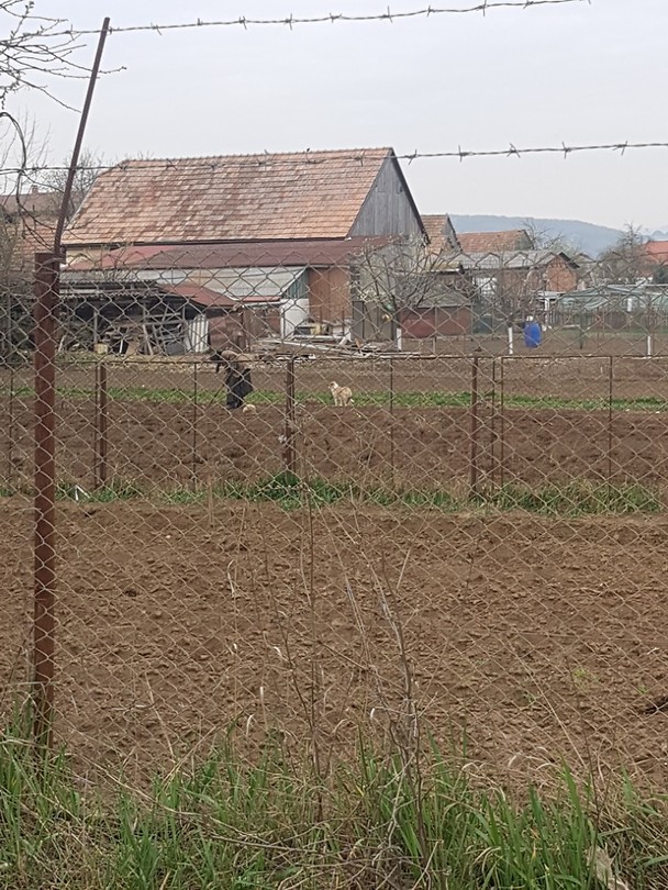 Boerderij