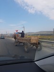Paard en wagen
