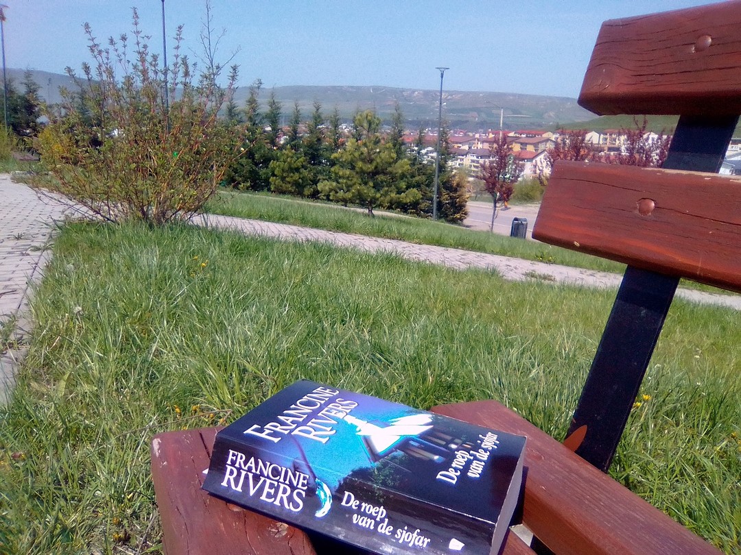 Lezen in het zonnetje