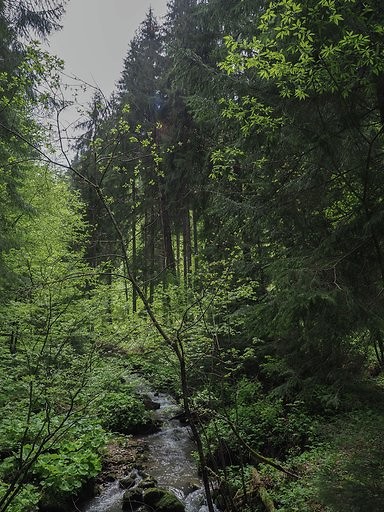 Bij waterval