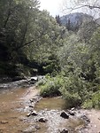 Natuur