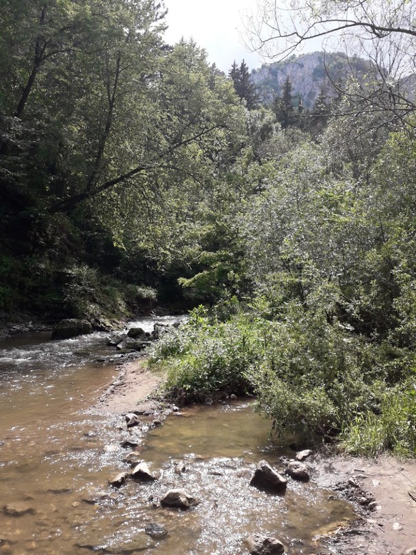 Natuur