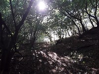 Zondagse wandeling