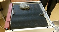 Muizennestje in de vaatwasmachine