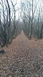 Wandeling dicht bij huis