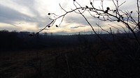 Wandelen in de buurt