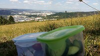 Picknick