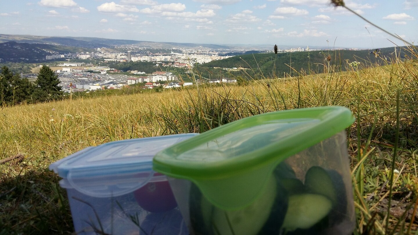 Picknick