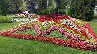 Botanische tuin Cluj