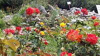 Botanische tuin