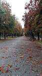 Herfst in het park