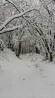 Wandeling door de sneeuw