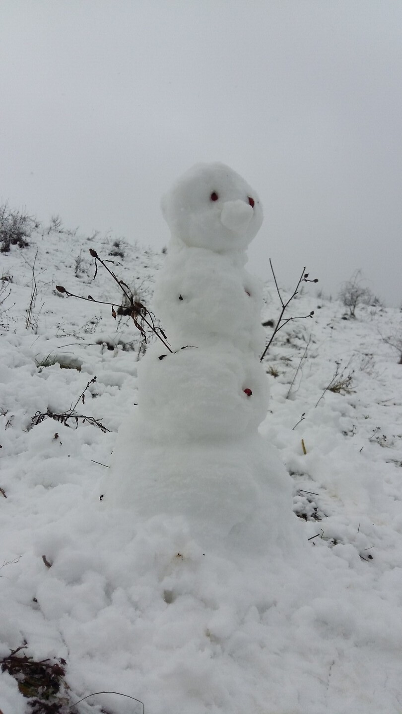 Mijn sneeuwvriend