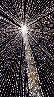 Onder de kerstboom in Cluj