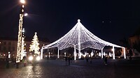 De kerstboom van Cluj