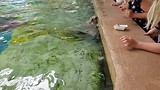 20180730_155540