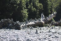 Haast - Queenstown (34)