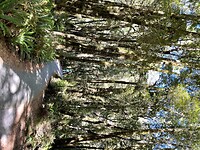 Haast - Wanaka - Queenstown (47)