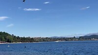 Queenstown - Te Anau (1)