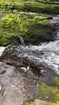 Mc Leans waterval 2