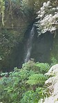 Falls