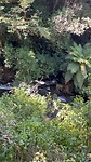 TeAnau - Owaka (5)