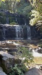 Purakaunui falls