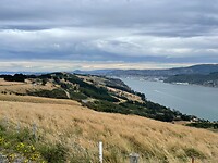 Owaka-Dunedin (112)