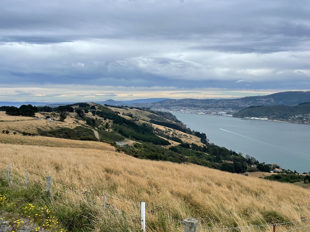 Owaka-Dunedin (112)