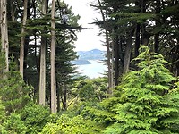 Owaka-Dunedin (121)