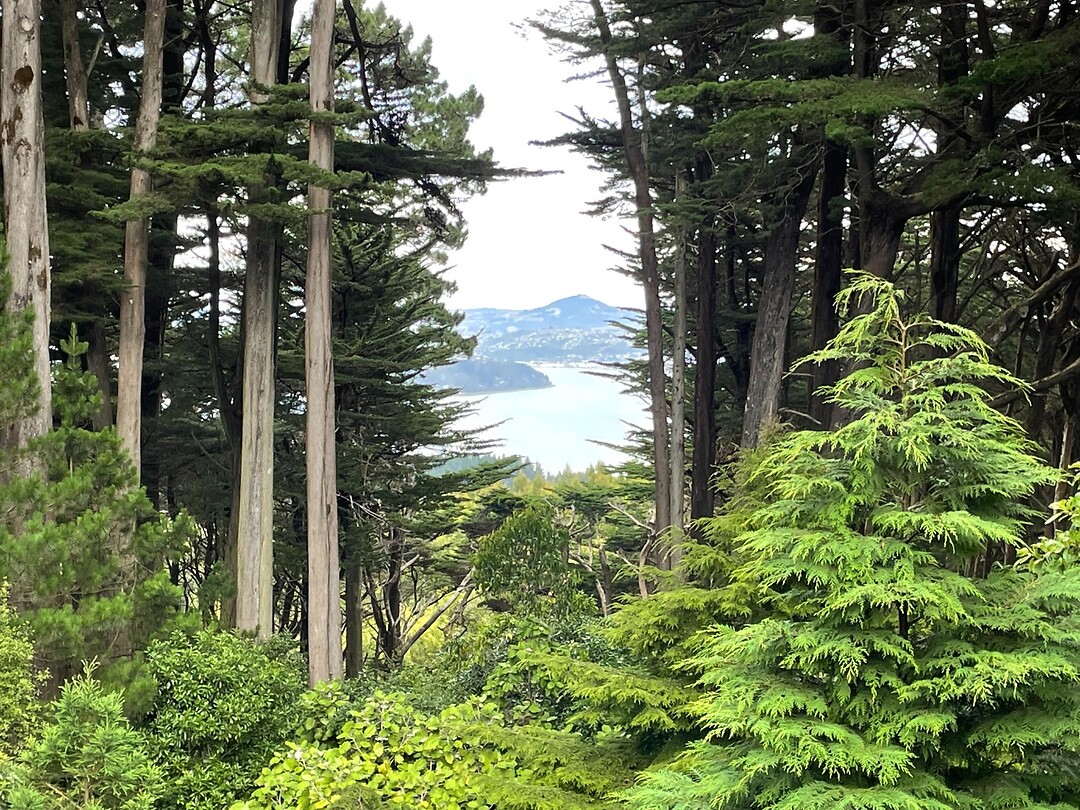 Owaka-Dunedin (121)