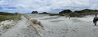 Mapea - Takaka - Tahuanui (111)