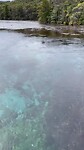Mapea - Takaka - Tahuanui (3)