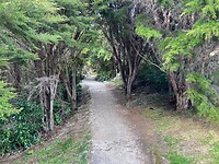 Mapea - Takaka - Tahuanui (77)