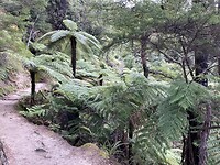 Kaiteriteri - Picton - Wellington (91)