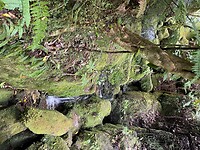 Kaiteriteri - Picton - Wellington (92)
