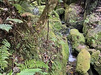 Kaiteriteri - Picton - Wellington (93)