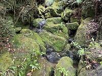 Kaiteriteri - Picton - Wellington (94)
