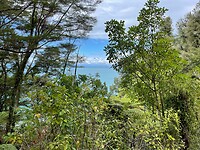 Kaiteriteri - Picton - Wellington (96)
