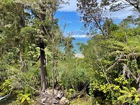Kaiteriteri - Picton - Wellington (101)