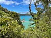 Kaiteriteri - Picton - Wellington (102)
