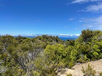 Kaiteriteri - Picton - Wellington (104)