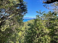 Kaiteriteri - Picton - Wellington (107)