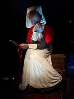Wellington (2)