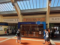 Wellington (43)